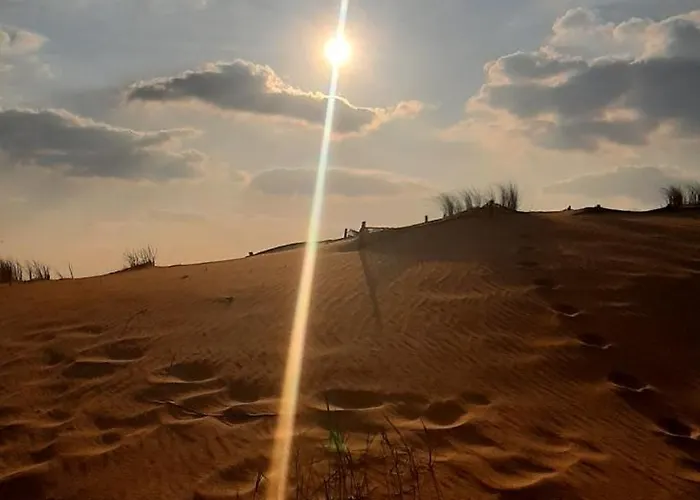 Maison 2 à 4 Personnes à 900 Mètres De La Longeville-sur-Mer